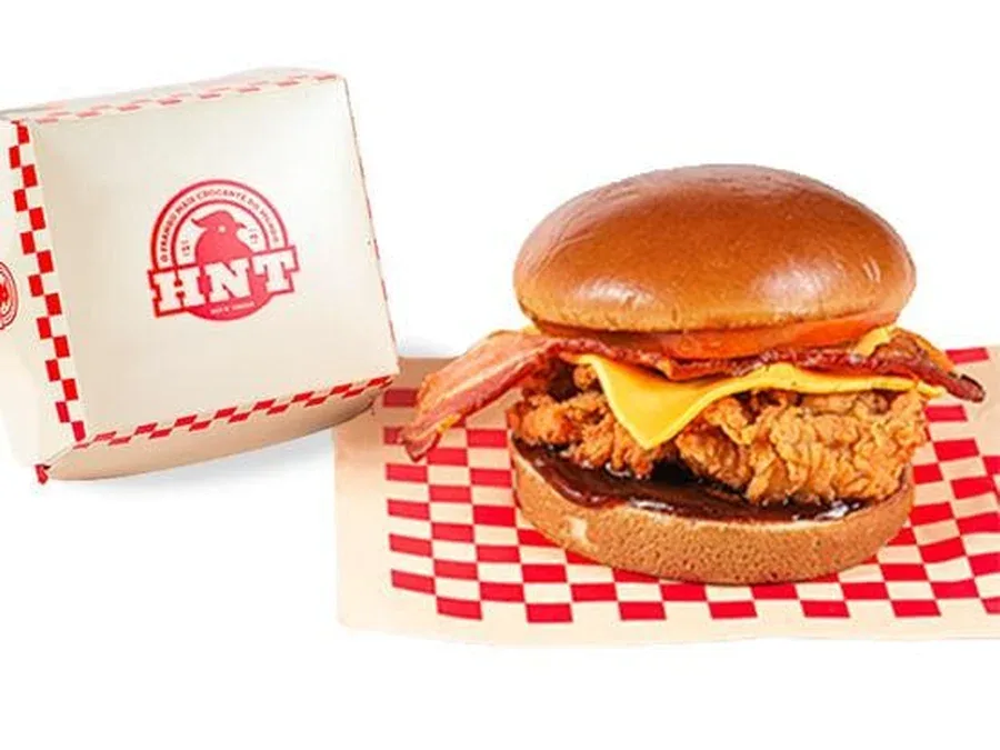 Burgers Crocantes — HNT